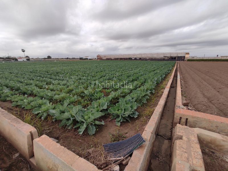 Foto c4c185d3-74c4-4612-a9eb-54f030714030. Finca rústica a Saboya Alboraya