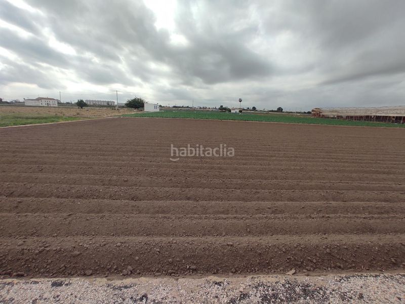 Foto cbbd3d3a-240f-42eb-8638-29d871a22c34. Finca rústica a Saboya Alboraya