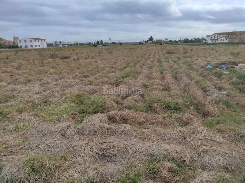 Foto d717d2d1-12af-4c6c-aae5-ea7f0510e528. Finca rústica a Saboya Alboraya