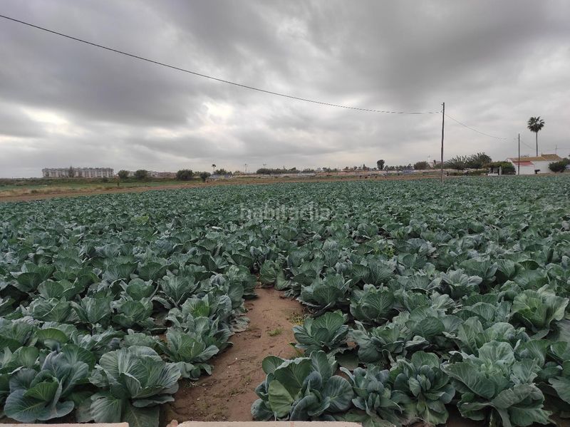 Foto e8af4c44-aaac-442a-b953-891c3ba4c9e3. Finca rústica a Saboya Alboraya