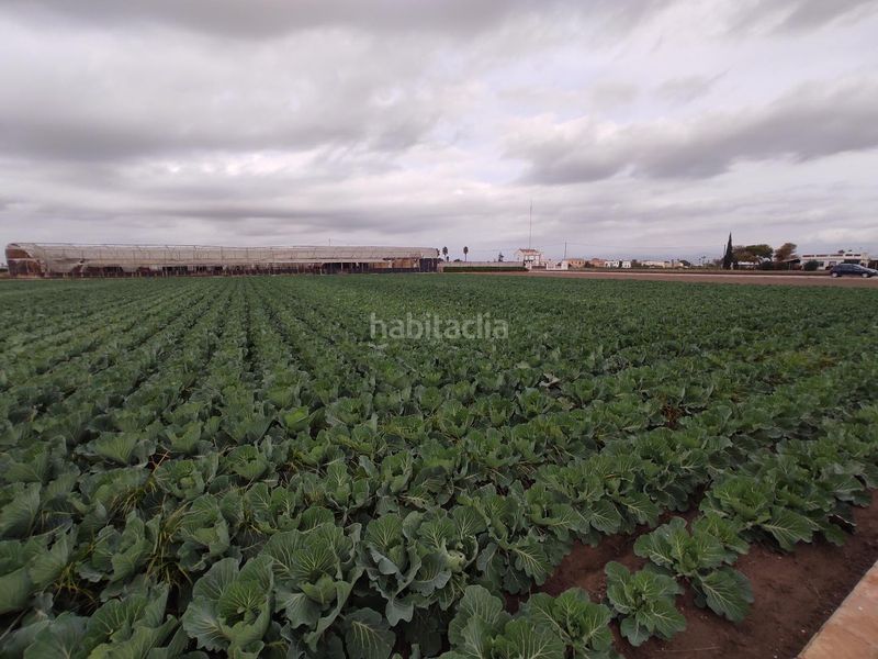 Foto f557755f-5e28-4de2-a0e0-2644e858f748. Finca rústica a Saboya Alboraya