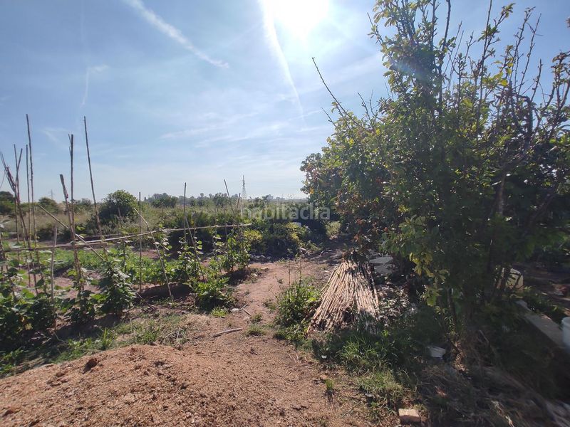 Foto 0c924ba7-8d88-41d4-a605-162074fd58dc. Finca rústica a Carpesa Valencia