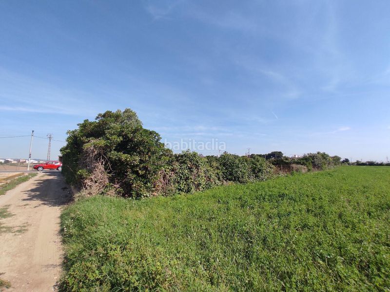 Foto 0fdf7586-ac34-4302-ba62-a0d62d2f7d3d. Finca rústica a Carpesa Valencia