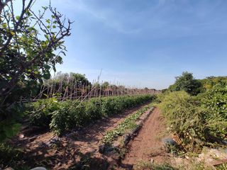 Landgut in Carpesa. Se vende terreno rústico en carpesa.