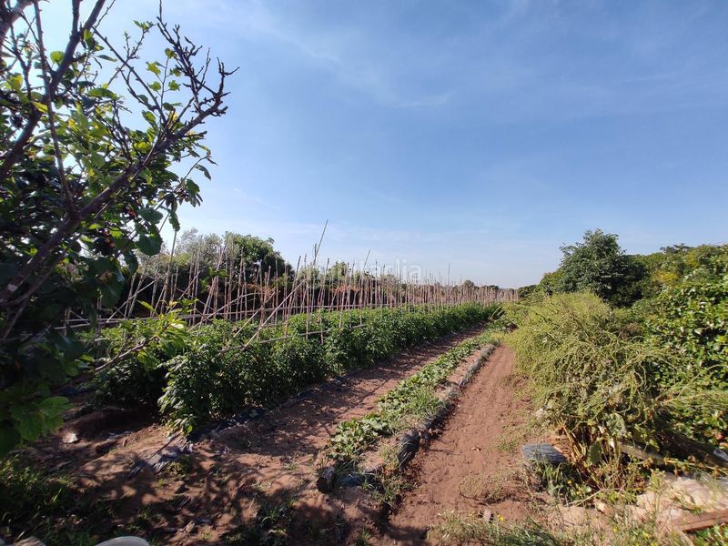 Foto 1b6dab9c-e307-4a01-b462-21afe38d0f9d. Finca rústica a Carpesa Valencia