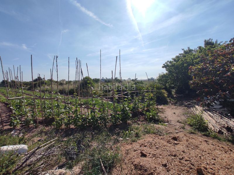 Foto 3e85b934-5963-4c61-b9ce-cd2aab3aa497. Finca rústica a Carpesa Valencia