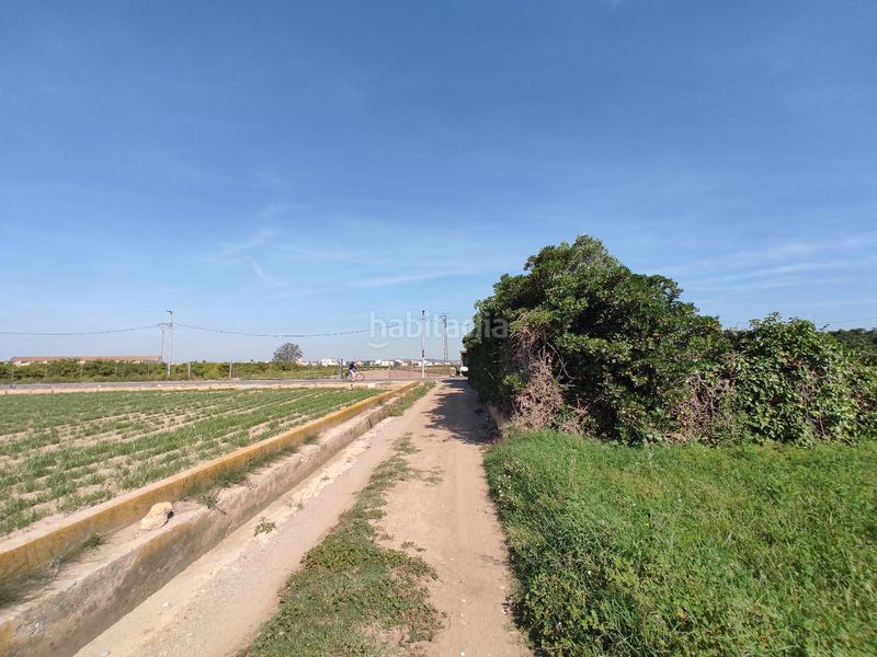 Foto 41c9e97d-ad01-4d0c-a380-077afed6314a. Finca rústica a Carpesa Valencia