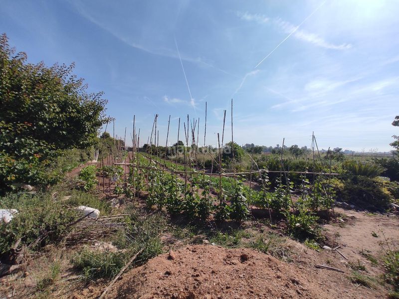 Foto 9b840a98-2589-4509-84e4-74d91e9e3dc6. Finca rústica a Carpesa Valencia