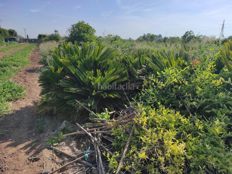 Foto b5b4366c-6b3d-4177-a356-7418f96fdd93. Finca rústica a Carpesa Valencia