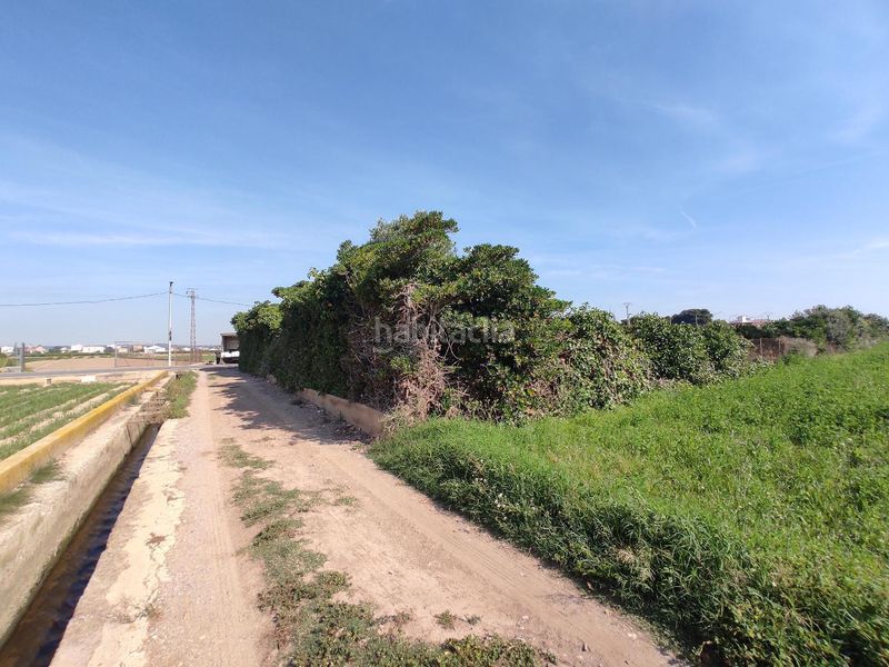 Foto cc6ffdfb-e6f3-4fd1-809b-64e52d54f4ef. Finca rústica a Carpesa Valencia