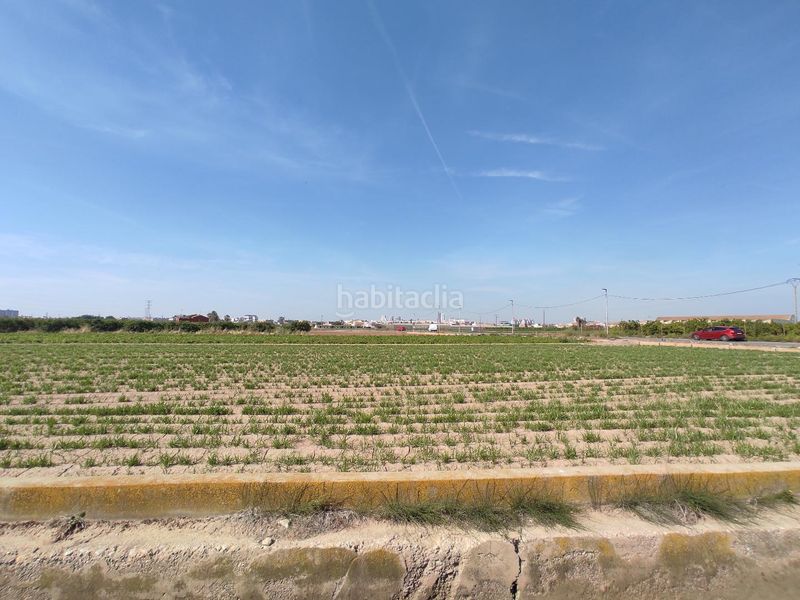 Foto d9ff007b-4bea-427d-abee-5bdd834398a4. Finca rústica a Carpesa Valencia