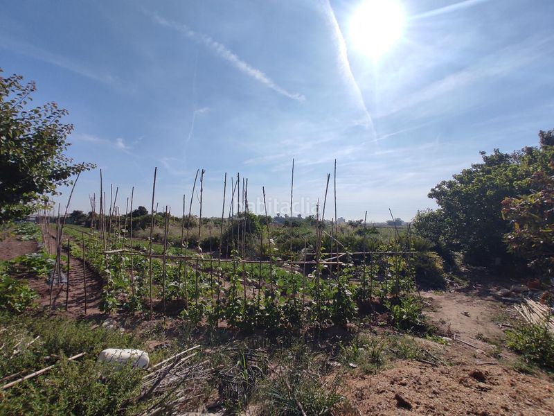 Foto eb9cb0fa-b783-4e5f-aa5c-3120d99030fe. Finca rústica a Carpesa Valencia