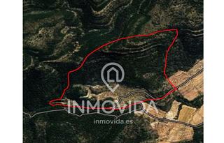 Finca rústica a Moixent
