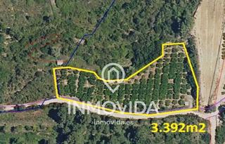 Rural plot in Quatretonda