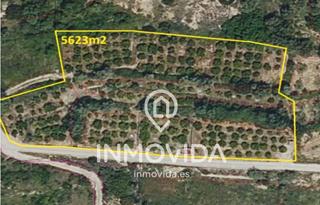 Rural plot in Plaça poligono 7 410