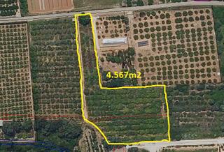 Finca rústica a Plaça poligono 7 202