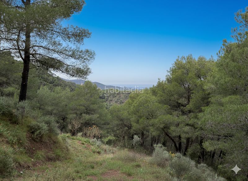 Foto cc43ddfb-36a8-421c-a179-d507c84f461e. Chalet en Estivella