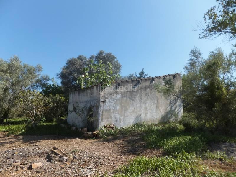 Foto 2364f8b8-d7d0-49d0-b97f-f21e23589ef8. Masia a Grau - Quintanes Amposta