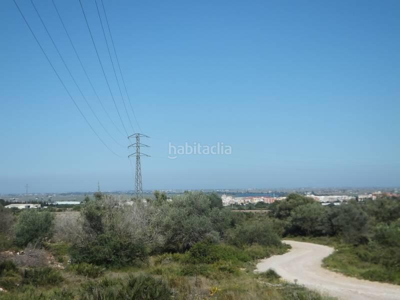 Foto 3136e97f-ab07-48c7-888e-04ab05b623ed. Masia a Grau - Quintanes Amposta