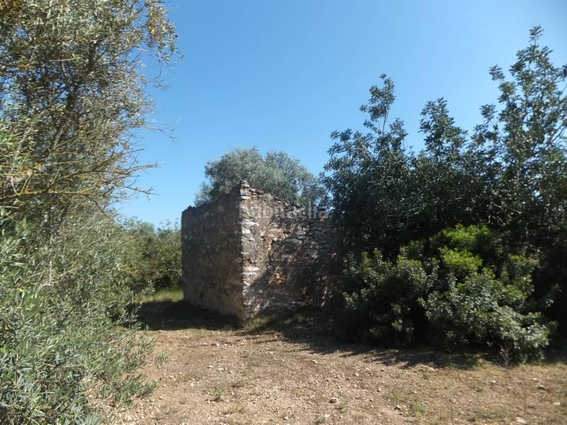 Foto 3d9fa802-8078-4265-a3cd-1c3707b5e633. Masia a Grau - Quintanes Amposta