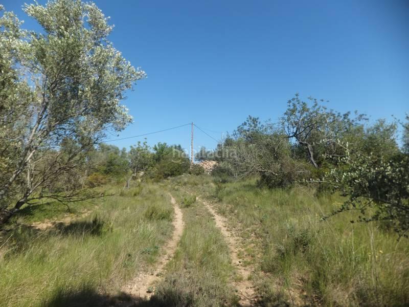 Foto 75c58818-0932-4a39-9dbd-a757f74c4a0f. Masia a Grau - Quintanes Amposta