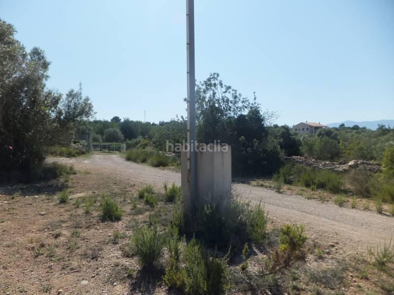 Foto 99214003-b875-47a0-9507-f392d7f4b3f2. Masia a Grau - Quintanes Amposta