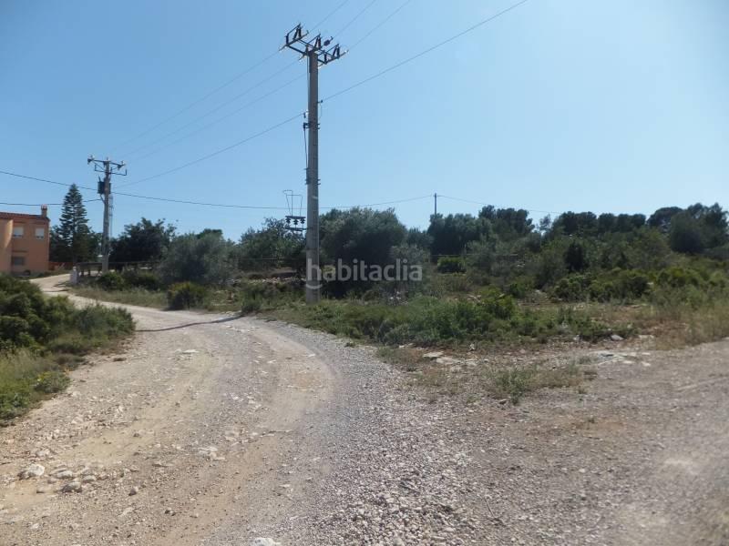 Foto b618c30e-4993-4bf6-84f8-116a80cbcec6. Masia a Grau - Quintanes Amposta