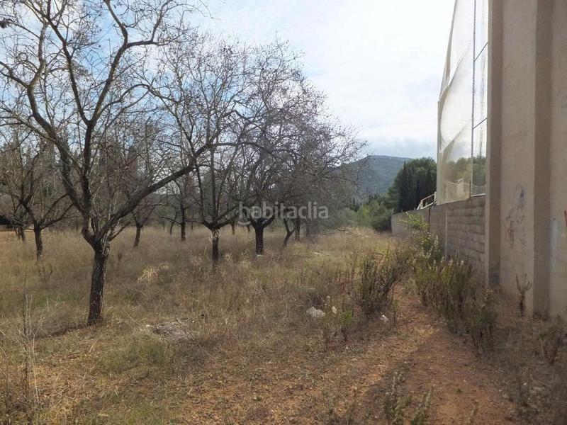 Foto 35a41fde-039d-4724-bd49-1ee417c2f8a7. Terreno residenziale in Valletes - Xiribecs Amposta