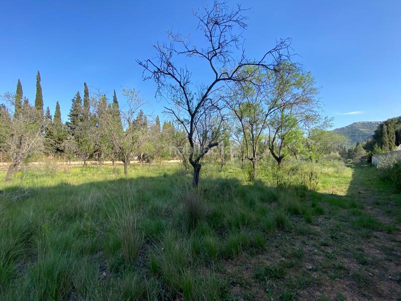 Foto 3ba93a99-ef4c-4a9c-a460-52a73bdeef99. Terreno residenziale in Valletes - Xiribecs Amposta