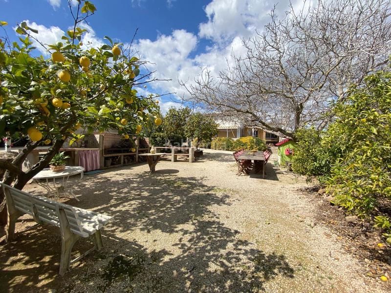 Foto 55410c25-075e-4555-aa67-2564f75169c3. Masia amb piscina a Valletes - Xiribecs Amposta