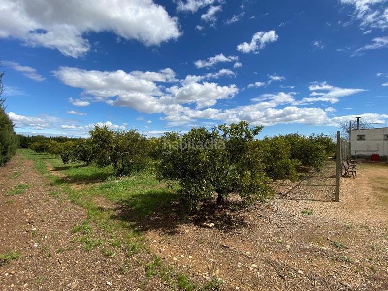 Foto 88f3d1b0-d507-4023-8b29-4c8a3cb33026. Masia amb piscina a Valletes - Xiribecs Amposta