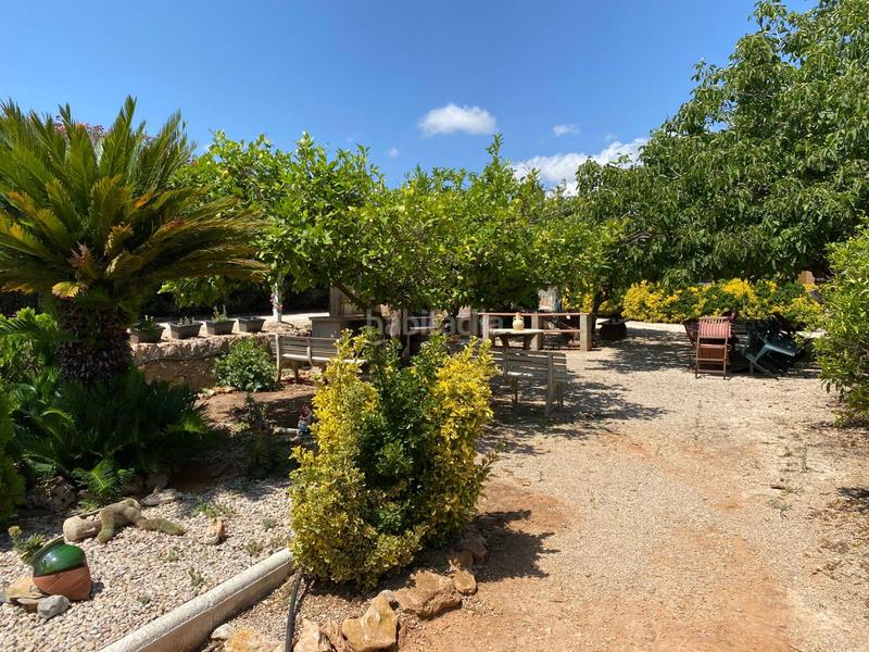 Foto 8980d35c-9ae2-4838-90cd-2d873638666b. Masia amb piscina a Valletes - Xiribecs Amposta