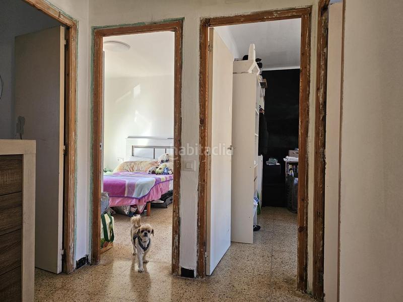 Foto 387fd74f-7f31-4960-9fa2-4d3a2953a247. Maison dans La plana Esparreguera