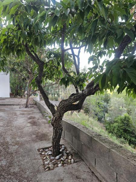 Foto 2c1e6529-5244-47e6-aa9f-0c33a14806ba. Haus in Can Vinyals Esparreguera