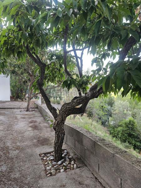 Foto ffebc8b4-cb4e-48a3-b0fb-53dc84cc02d6. Chalet dans Can Vinyals Esparreguera