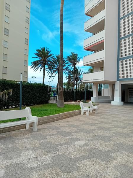 Foto cb72519f-e35c-4559-b997-b11d38a8dc69. Pis a carrer mar blau n-04 1 a Mareny Blau Sueca