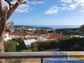 Chalet  Carrer armallader