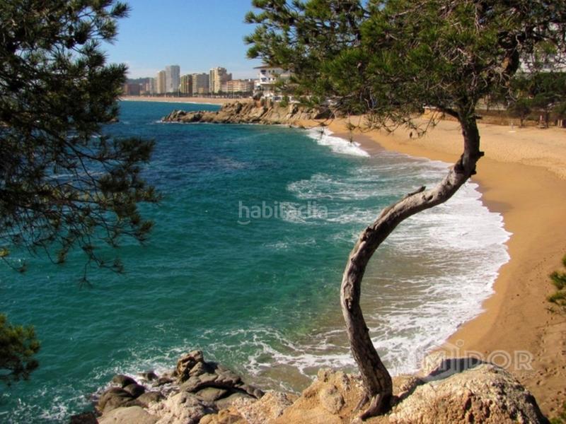 Foto cb947036-b028-4a65-baf0-62fd3e1e6c89. Terreny residencial a Mas Pere-Río de Oro Calonge