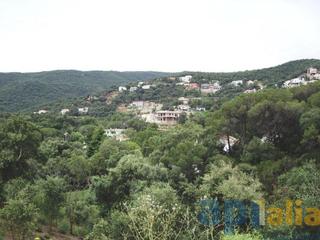Terreny residencial  Carrer eucaliptus. Parcela en urb. rio de oro (calonge)