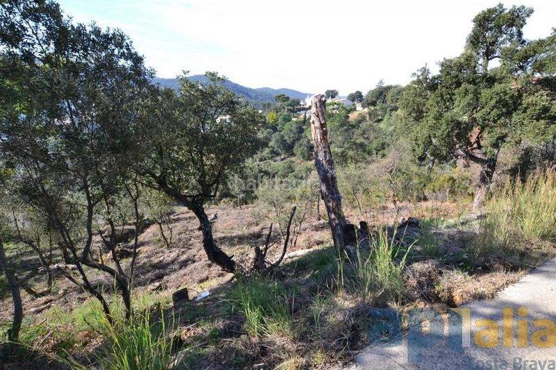 Foto 5617d7d1-4c34-47de-a366-a4a093c4e104. Wohngrundstück in Mas Pere-Río de Oro Calonge