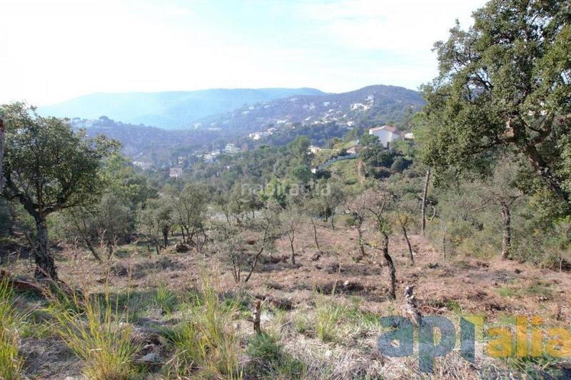 Foto 5e95ada5-cb26-4eda-a290-feca4af09af9. Wohngrundstück in Mas Pere-Río de Oro Calonge