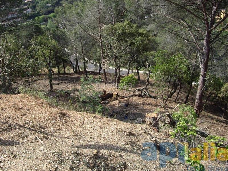 Foto cc0c8805-4977-44b6-9acc-6855973de71c. Wohngrundstück in Mas Pere-Río de Oro Calonge