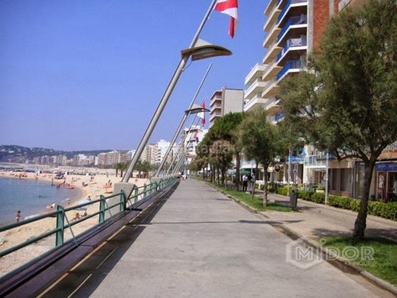Foto 7e063073-4826-4452-ba40-64bd30b3171f. Terreny residencial a Mas Pere-Río de Oro Calonge