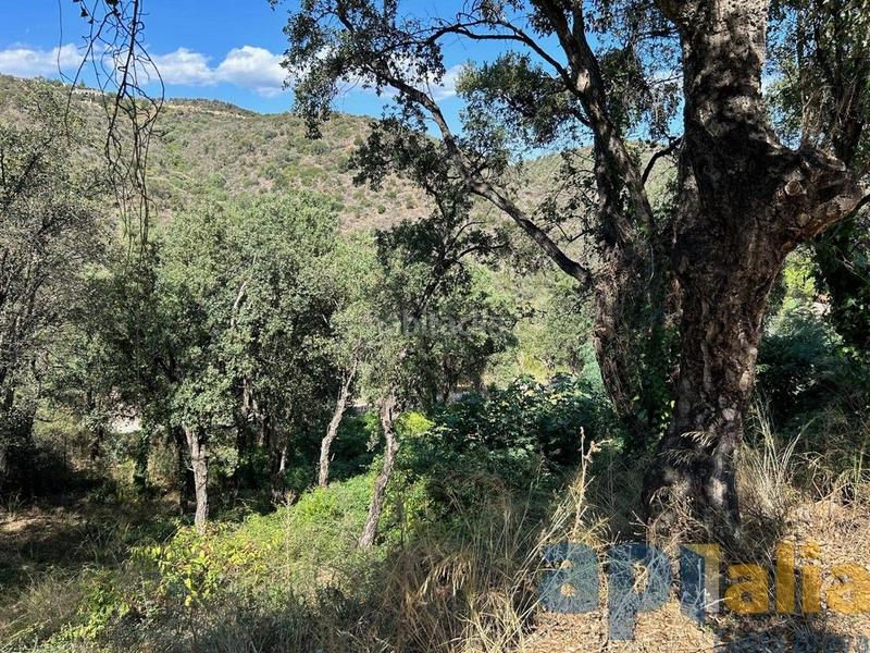 Foto 408f8382-d47f-4055-9ab5-0d7beb7bec1d. Terreny residencial a Urbanitzacions Platja d´Aro