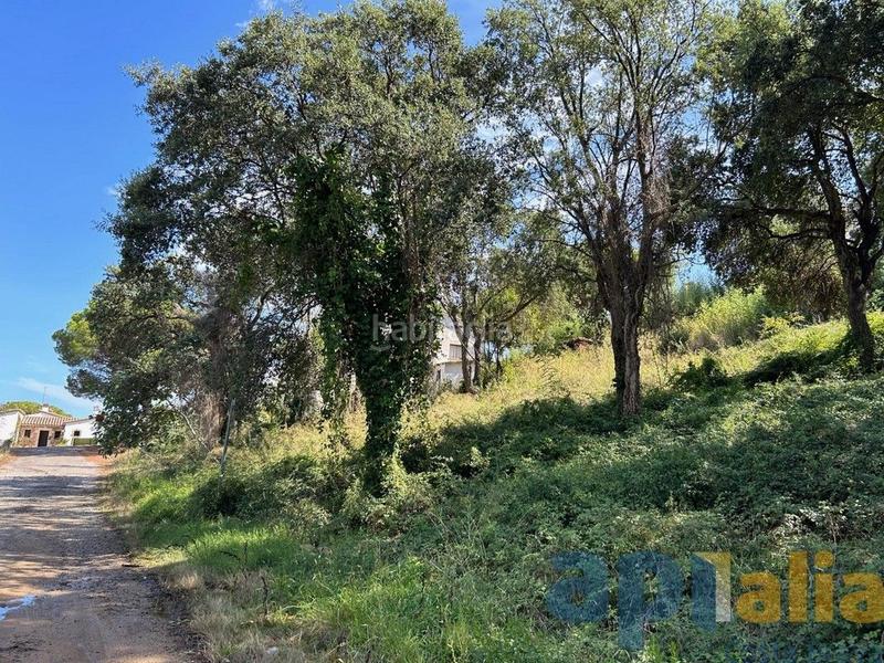 Foto eee94afc-6b18-46b6-aafe-bd7d075fc898. Terreny residencial a Urbanitzacions Platja d´Aro