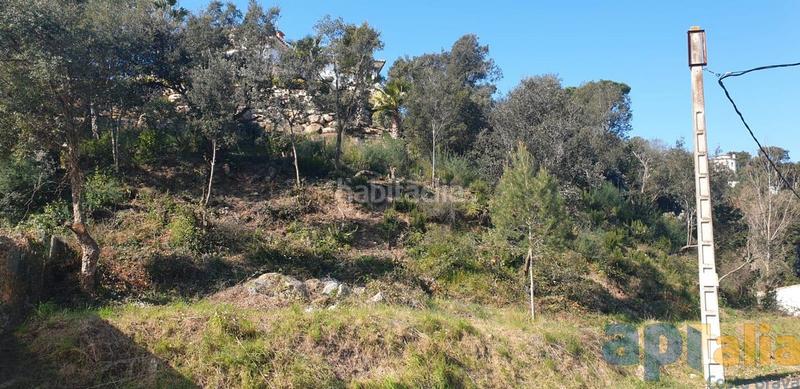 Foto 2da940a2-9c73-41a8-bbd7-9a837bd391cc. Terreno residencial parcela en rio de oro () en Mas Pere-Río de Oro Calonge