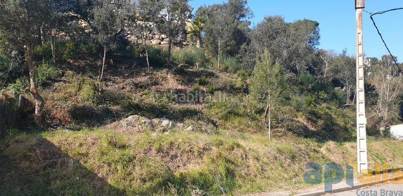 Foto 2f7f56fb-a7b9-409d-8887-808020742750. Terreno residencial parcela en rio de oro () en Mas Pere-Río de Oro Calonge