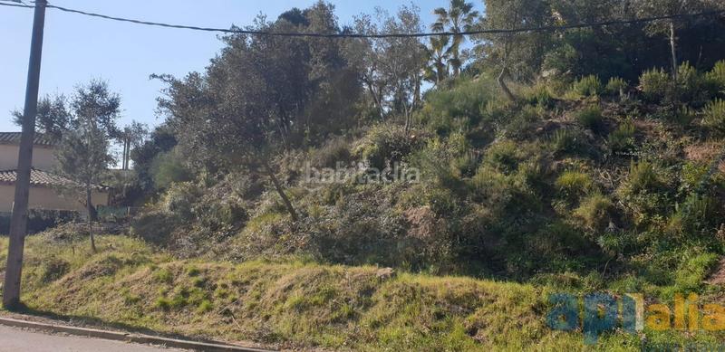 Foto f0803c77-7030-46b9-9a44-24e7e13fde44. Terreno residencial parcela en rio de oro () en Mas Pere-Río de Oro Calonge