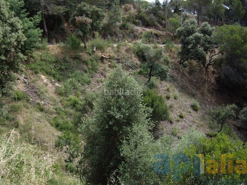 Foto 835ec67a-e8b2-4fc4-85f5-6c3a99250282. Residential plot in Mas Pere-Río de Oro Calonge