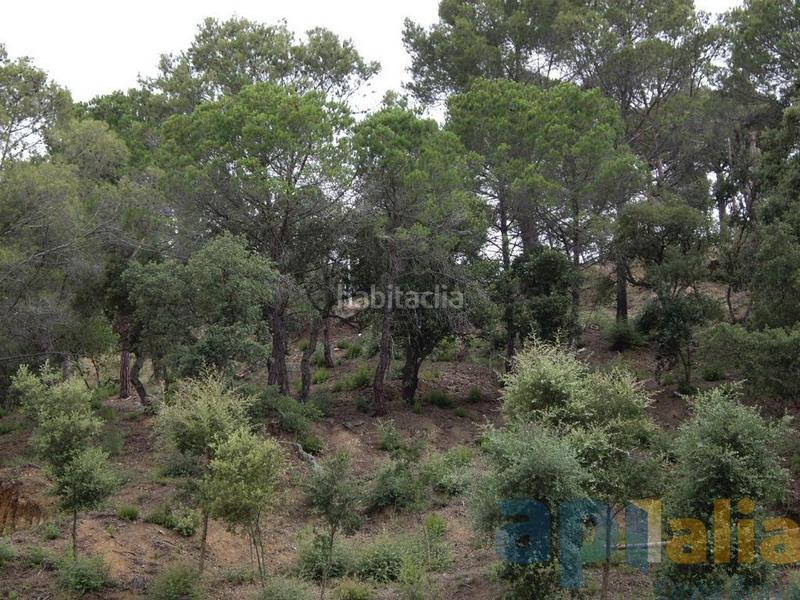 Foto 8b6dc7f9-7b94-49d2-849b-78f3aebdcbff. Residential plot in Mas Pere-Río de Oro Calonge